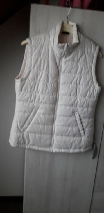 Bodywarmer  beschikbaar voor biedingen