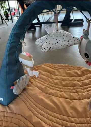 Babygym Done by Deer beschikbaar voor biedingen