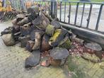 Brandhout / haardhout (ongekloofd), Tuin en Terras, Haardhout, 3 tot 6 m³, Ophalen, Stammen
