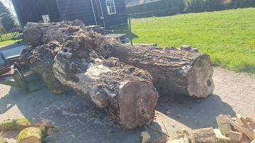 Boomstammen. Haardhout.  Brandhout. Openhaardhout  beschikbaar voor biedingen