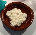 Kefir korrels, Diversen, Ophalen of Verzenden