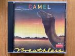 camel, Gebruikt, Ophalen of Verzenden, Progressive