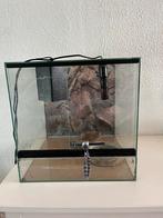 Terrarium, Dieren en Toebehoren, Reptielen en Amfibieën | Toebehoren, Ophalen of Verzenden, Zo goed als nieuw, Terrarium of Paludarium
