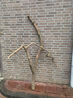 Onbehandelde boomtak, boom, krabpaal, kapstok, decoratie, Ophalen, Zo goed als nieuw