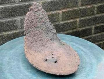 Bonsai Maanschaal handgemaakt bruin ongeglazuurd 20,5x15x16 beschikbaar voor biedingen