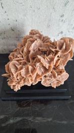 Gaaf stuk woestijnroos beige bruin op zwarte voet, Nieuw, Ophalen of Verzenden, X, X