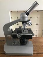Microscoop, Ophalen, Gebruikt, 400x tot 1000x, Biologische microscoop