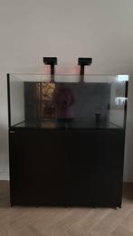 Red sea 425 xl g2 inclusief verlichting, Dieren en Toebehoren, Vissen | Aquaria en Toebehoren, Ophalen, Zo goed als nieuw, Leeg aquarium