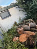 Gratis gekapte bomen in HOOFDDORP, Tuin en Terras, Haardhout, Ophalen