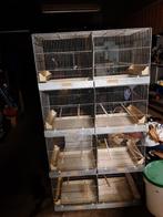 Broedkooien vluchtjes, Dieren en Toebehoren, Vogels | Hokken en Kooien, Ophalen of Verzenden, Zo goed als nieuw, Hout, Broedkooi of Kweekkooi