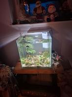 AQUARIUM, Dieren en Toebehoren, Vissen | Aquaria en Toebehoren, Ophalen, Zo goed als nieuw, Leeg aquarium