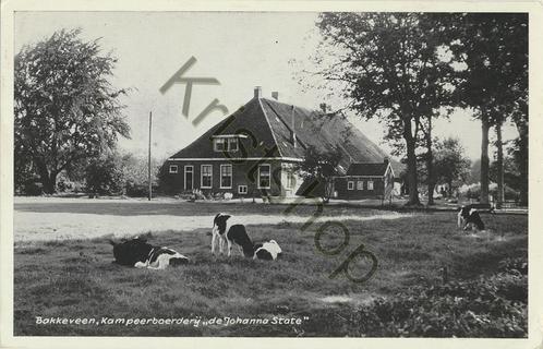 Bakkeveen - Kampeerboerderij De Johanna State [KRST005-1287, Verzamelen, Ansichtkaarten | Nederland, Gelopen, Friesland, 1920 tot 1940