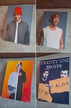 Metalen poster twenty one pilots, Verzenden, Nieuw, Foto of Poster, 75 cm of meer