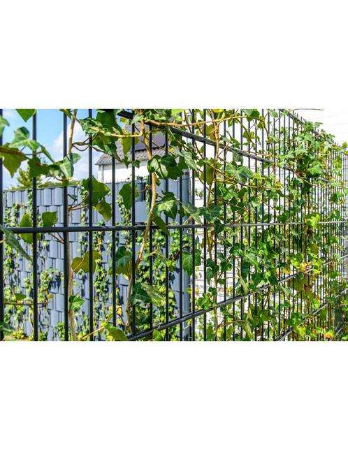 Dubbelstaafmat hekwerk, Tuin en Terras, Tuinhekken en Hekwerk, Nieuw, Dubbelstaafmat hekwerk, IJzer, Ophalen
