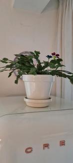 Bloempot keramiek om op te hangen, Huis en Inrichting, Ophalen of Verzenden, Overige soorten, Minder dan 100 cm