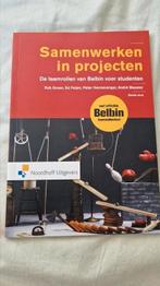 Ed Feijen - Samenwerken in projecten, Ophalen of Verzenden, Zo goed als nieuw, Ed Feijen; André Meester; Peter Hennevanger; Rob Groen