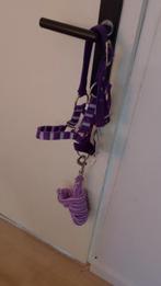 Paars Pony veulen halster met halstertouw, Dieren en Toebehoren, Paarden en Pony's | Hoofdstellen en Tuigage, Ophalen of Verzenden