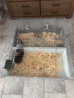 Dubbele cavia/konijnenkooi, Dieren en Toebehoren, Kooi, Zo goed als nieuw, Cavia, Ophalen