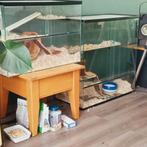 Gerbils, Ophalen, Gebruikt, Overige typen, 60 tot 90 cm