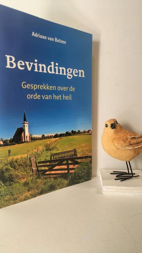 Belzen, Adriaan van; Bevindingen (gesprekken over de orde va, Boeken, Godsdienst en Theologie, Gelezen, Christendom | Protestants