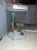 Superfish aqaurium, Ophalen of Verzenden