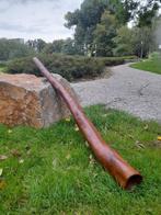 Didgeridoo, Muziek en Instrumenten, Ophalen, Nieuw