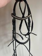 Bruin hoofdstel Nieuw, Dieren en Toebehoren, Paarden en Pony's | Hoofdstellen en Tuigage, Ophalen of Verzenden, Nieuw, Dressuur