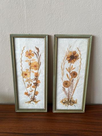 Set van 2 vintage lijstjes met droogbloemen groen goud retro beschikbaar voor biedingen