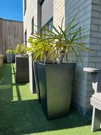 Plantenbakken, Tuin en Terras, Bloembakken en Plantenbakken, Ophalen, Kunststof, Minder dan 60 cm