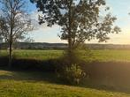 Te koop gevraagd. Weiland, bosperceel etc.., Dieren en Toebehoren, Stalling en Weidegang