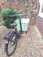 Elektrische Dolly Bakfiets MIDDENMOTOR en REGENHUIF, 3 kinderen, Zo goed als nieuw, Elektrisch, Ophalen