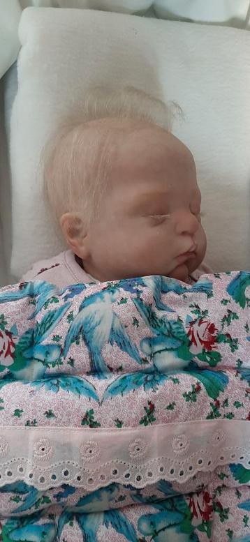 Reborn  met Certificaat kit van cassie brace beschikbaar voor biedingen