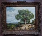 n Willem Roelofs - Oosterbeek - Gesigneerd - 1900, Antiek en Kunst, Ophalen of Verzenden