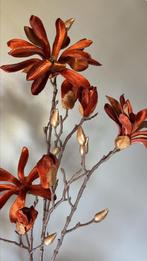 Magnolia tak, Ophalen of Verzenden, Nieuw, Binnen