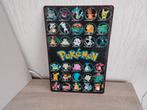 POKEMON  WANDPLAAT, Huis en Inrichting, Woonaccessoires | Wanddecoraties, Ophalen of Verzenden