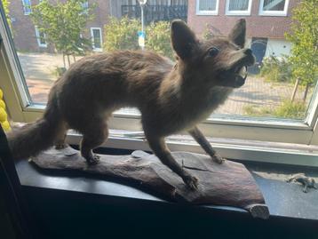 Vos beschikbaar voor biedingen