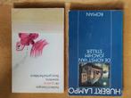 Hubert Lampo - Twee Romans, Boeken, Ophalen of Verzenden, Gelezen, Hubert Lampo, België