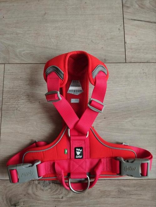 Honden halsband, Dieren en Toebehoren, Hondenriemen, Zo goed als nieuw, Ophalen