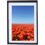 Nederlandse Tulpenvelden in lijst - Zo goed als nieuw, Ophalen of Verzenden, Zo goed als nieuw, Kunststof, Minder dan 50 cm
