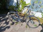 Batavus Florence 56cm, Ophalen, Versnellingen, Batavus, 53 tot 56 cm