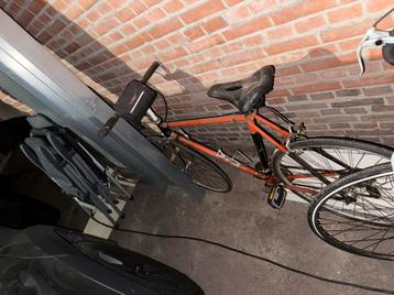 Klasieke racefietsen beschikbaar voor biedingen