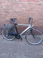 Batavus Cibola [57cm]Trekkingfiets Herenfiets, Ophalen, Gebruikt, Overige typen