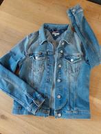 Tommy Hilfiger Spijkerjas Dames Maat S, Blauw, Ophalen of Verzenden, Zo goed als nieuw, Maat 36 (S)