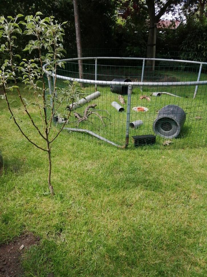 Knaagdier  vakantieopvang, Dieren en Toebehoren, Knaagdieren en Konijnen | Hokken en Kooien, Nieuw, Hok, Minder dan 60 cm, 110 cm of meer
