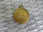 Oude prijs medaille, Wolvega, varkens keuring 1955, Ophalen of Verzenden, Gebruikt