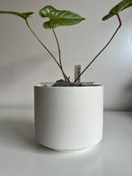 Vintage Arabia Finland Bloempot Wit Richard Lindh  Ø13,5, Ophalen of Verzenden
