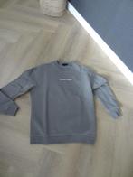 Sweater Ashes to Dust the Sting, maat S, Kleding | Heren, Ophalen of Verzenden, Zo goed als nieuw, Maat 46 (S) of kleiner, Ashes to dust