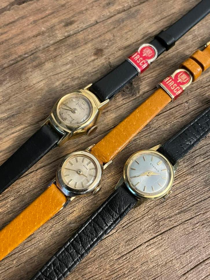 Horloges Etherna, Sieraden, Tassen en Uiterlijk, Horloges | Dames, Zo goed als nieuw, Overige merken, Staal, Ophalen of Verzenden