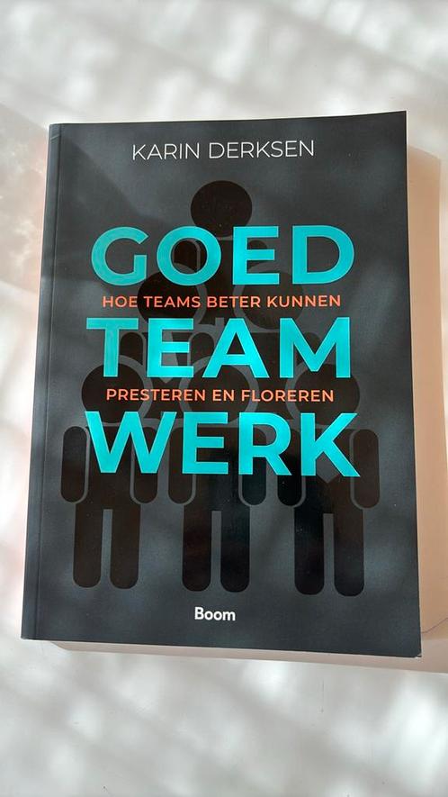 Karin Derksen - Goed teamwerk, Boeken, Wetenschap, Zo goed als nieuw, Ophalen of Verzenden