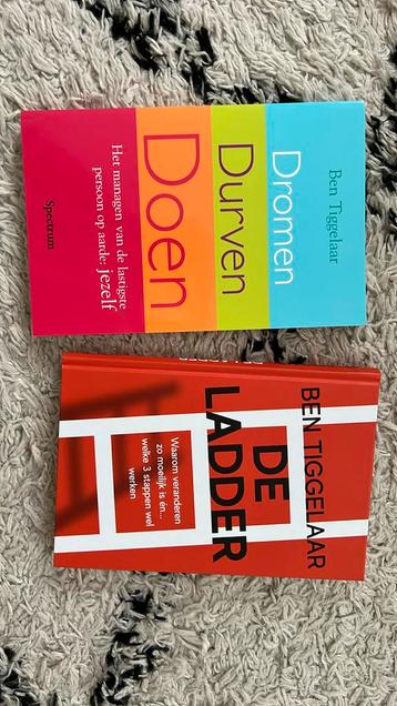 Ben Tiggelaar - De Ladder + dromen durven doen beschikbaar voor biedingen